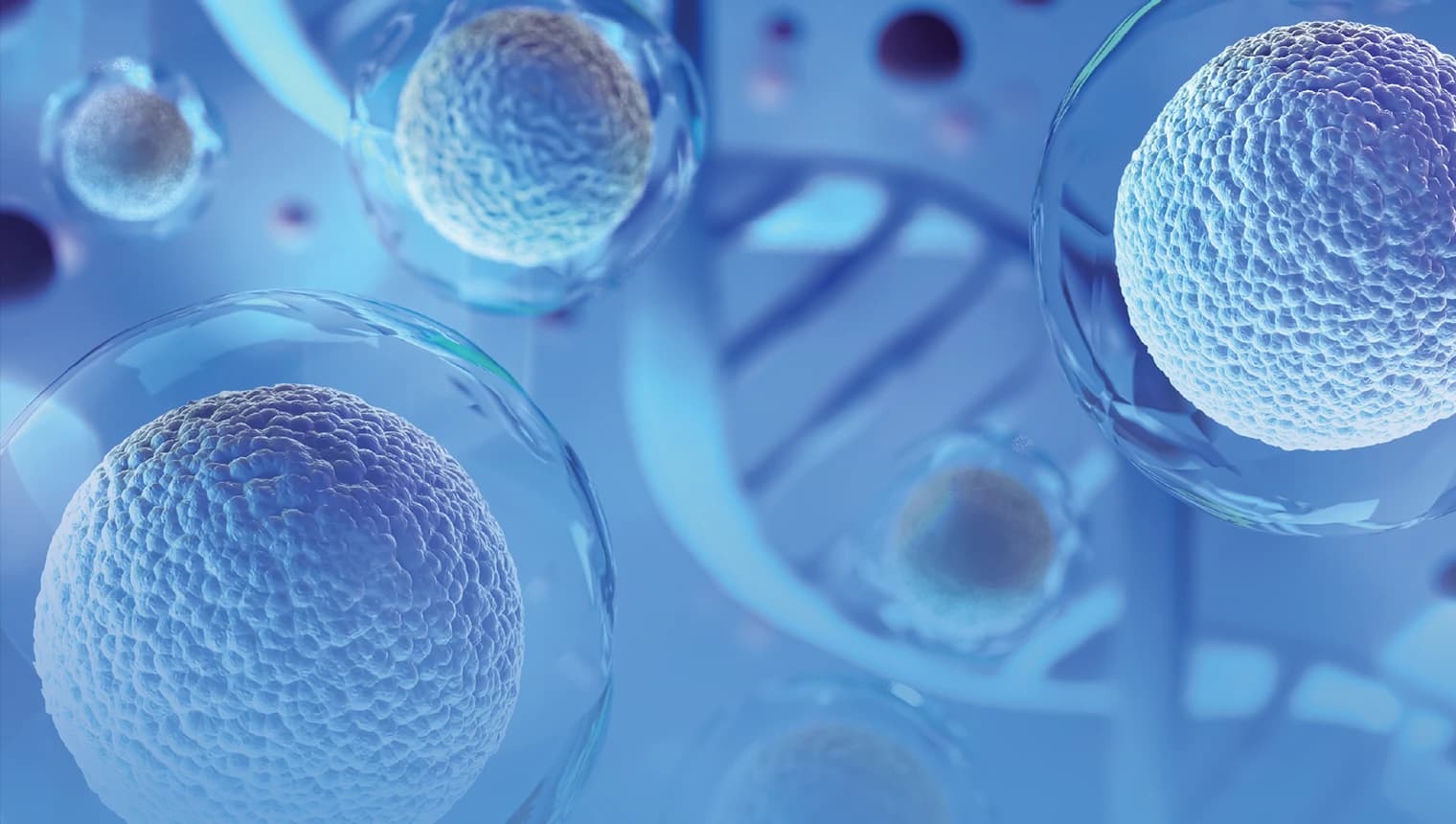 5th Gene & Cell Therapy CMC: Process Development, Quality and Vector Manufacturing